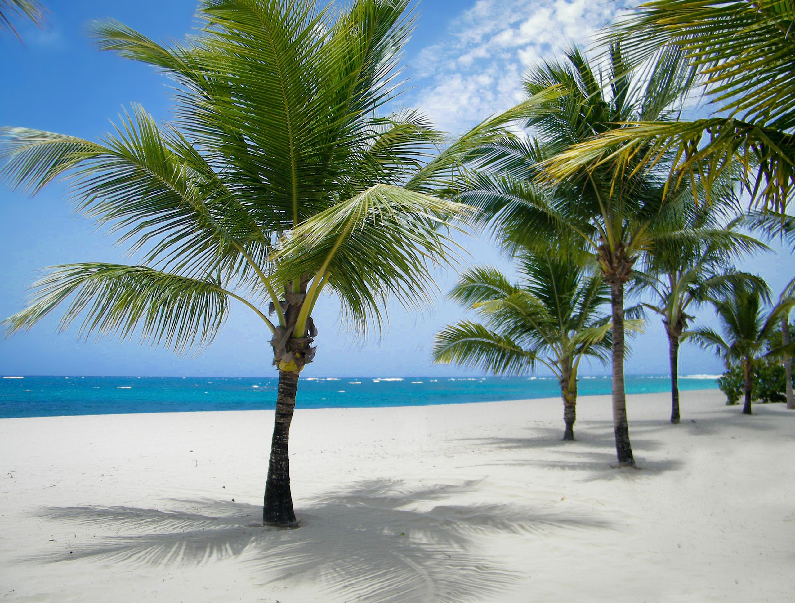 Viva Heavens By Wyndham, A Trademark All Inclusive (Adults Only) Hotel Puerto Plata Exterior photo